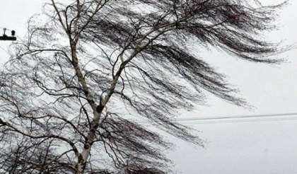 Ultima ora. Cod GALBEN de vant puternic in toata tara. Anuntul facut de meteorologi cu putin timp in urma - FOTO