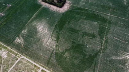 Chipul lui Messi, vizibil din satelit, intr-un lan de porumb - FOTO 