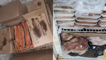 Alarmant. Peste, carne si fructe cu termen de valabilitate expirat si fara control medical. Sunt doar cateva dintre incalcarile grave depistate de ANSA la mai multe magazine din tara - FOTO