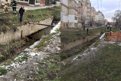 Un barbat - gasit fara suflare intr-un sant din sectorul Buiucani. Politia: "Urme de moarte violenta nu au fost depistate" - FOTO Un barbat - gasit fara suflare intr-un sant din sectorul Buiucani. Politia: "Urme de moarte violenta nu au fost depistate" - FOTO