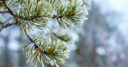 Va ninge in unele regiuni ale tarii. Cum va fi vremea astazi, dar si in urmatoarele zile. Prognoza meteo