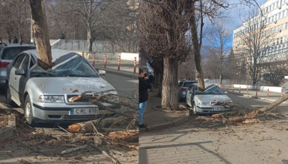 Ghinion pentru un sofer. Masina i-a fost doborata de un copac, fiind parcata pe o strada din capitala - FOTO