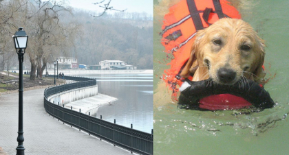 La un pas de tragedie. Doua persoane si cainii acestora, salvati de la inec intr-un parc din Chisinau. Cum s-a intamplat totul - FOTO La un pas de tragedie. Doua persoane si cainii acestora, salvati de la inec intr-un parc din Chisinau. Cum s-a intamplat totul - FOTO