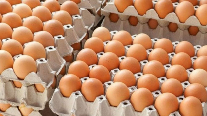 Premiera pentru Republica Moldova. Productorii nostri vor putea sa exporte in Uniunea Europeana carne procesata de pasare si oua de consum