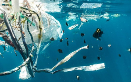 Cantitatile de plastic care ajung in oceanele de pe Terra ar putea sa ajunga la un nivel „fara precedent” fata de anul 2005 si s-ar putea tripla pana in 2040 Cantitatile de plastic care ajung in oceanele de pe Terra ar putea sa ajunga la un nivel „fara precedent” fata de anul 2005 si s-ar putea tripla pana in 2040