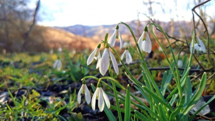 In urmatoarele zile vremea se va raci usor. Ce temperaturi ne asteapta astazi. Prognoza meteo - FOTO