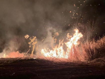 Maia Sandu: „Incendierea miristilor este un obicei barbar care trebuie eliminat”. Ce amenda vor primi persoanele care vor arde vegetatia uscata Maia Sandu: „Incendierea miristilor este un obicei barbar care trebuie eliminat”. Ce amenda vor primi persoanele care vor arde vegetatia uscata