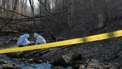 O fata de 12 ani a fost injunghiata mortal de doi copii intr-o padure din Germania. Detalii socante din ancheta O fata de 12 ani a fost injunghiata mortal de doi copii intr-o padure din Germania. Detalii socante din ancheta