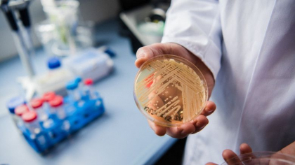 O ciuperca mortala rezistenta la medicamente se raspandeste intr-un ritm ingrijorator