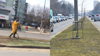O noua modalitate de plantare a ierbii? Precizarile Primariei dupa aparitia imaginilor video in care un muncitor stropeste cu o substanta verde gazonul din capitala - FOTO/VIDEO O noua modalitate de plantare a ierbii? Precizarile Primariei dupa aparitia imaginilor video in care un muncitor stropeste cu o substanta verde gazonul din capitala - FOTO/VIDEO