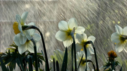 Cer noros si ploi slabe in toata tara. Cum va fi vremea astazi, dar si in urmatoarele zile. Prognoza meteo 