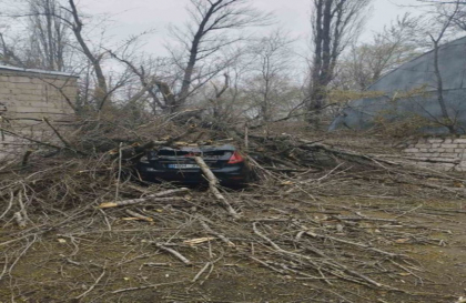 Vantul face ravagii in toata tara. Mai multe automobile, grav avariate de copacii doborati - FOTO Vantul face ravagii in toata tara. Mai multe automobile, grav avariate de copacii doborati - FOTO