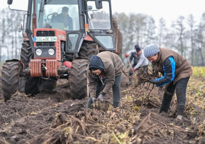 Germania ar putea schimba legea imigratiei, pentru a preveni criza fortei de munca. Cine ar fi eligibil pentru dubla cetatenie Germania ar putea schimba legea imigratiei, pentru a preveni criza fortei de munca. Cine ar fi eligibil pentru dubla cetatenie