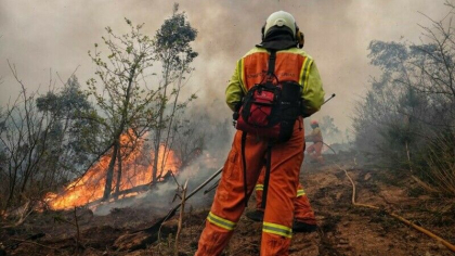 Nordul Spaniei, devastat de incendii: Ne confruntam cu adevarati teroristi, care pericliteaza vieti si orase - VIDEO