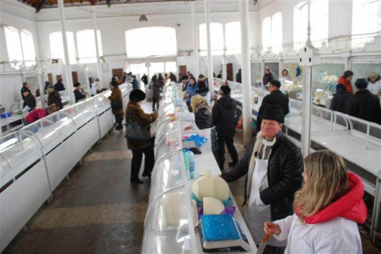Oamenii ce vand produse obtinute de la propriile animalele din gospodarie o vor putea face in conditii mai flexibile. ANSA: „Vor fi obligati sa aiba doar un carnet de sanatate pentru animale” Oamenii ce vand produse obtinute de la propriile animalele din gospodarie o vor putea face in conditii mai flexibile. ANSA: „Vor fi obligati sa aiba doar un carnet de sanatate pentru animale”