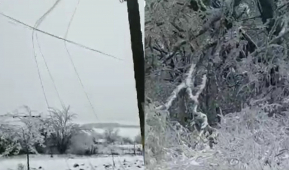 Ninsoarea si chiciura dau batai de cap oamenilor din sudul tarii. Mai multi copaci si fire electrice au fost rupte, dupa ce un strat de gheata s-a depus peste ele. Imagile - surprinse de martori - VIDEO
