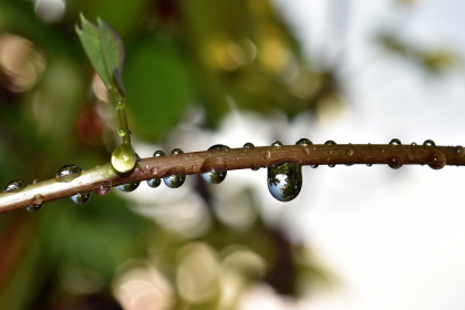 Se asteapta ploi in sudul tarii. Cum va fi vremea astazi, dar si in urmatoarele zile. Prognoza meteo