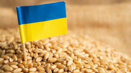 Slovacia suspenda importurile de cereale si alte produse din Ucraina Slovacia suspenda importurile de cereale si alte produse din Ucraina