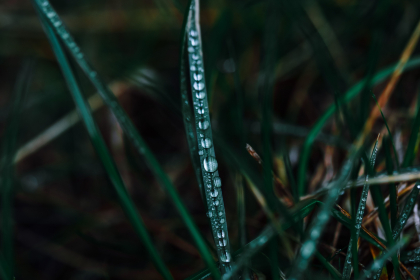 Cer noros si ploi slabe in toata tara. Cum va fi vremea astazi, dar si in urmatoarele zile. Prognoza meteo