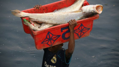 Cincizeci de pescari din Republica Guineea, afectati de o boala de piele misterioasa Cincizeci de pescari din Republica Guineea, afectati de o boala de piele misterioasa