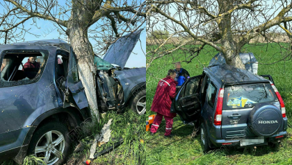 O femeie a ajuns la spital, dupa ce automobilul pe care il conducea s-a lovit puternic de un copac. Noi detalii despre accidentul din stanga Nistrului - FOTO