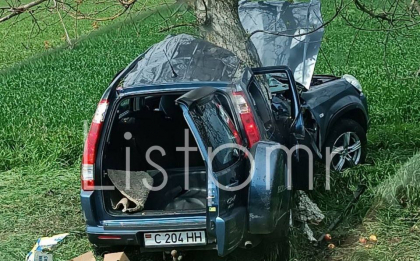 Accident violent in stanga Nistrului. O masina s-a lovit puternic de un copac. Imagini de la locul incidentului - FOTO Accident violent in stanga Nistrului. O masina s-a lovit puternic de un copac. Imagini de la locul incidentului - FOTO