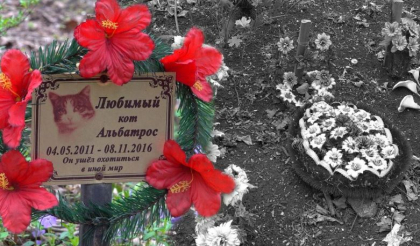 Pietre funerare, candelute si cruci. De 50 de ani locuitorii din Balti isi ingroapa prietenii patrupezi la un cimitir din apropierea municipiului. Cum arata acesta - VIDEO Pietre funerare, candelute si cruci. De 50 de ani locuitorii din Balti isi ingroapa prietenii patrupezi la un cimitir din apropierea municipiului. Cum arata acesta - VIDEO
