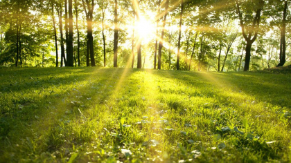 Vreme calda de primavara. Ce temperaturi se inregistreaza astazi, dar si in urmatoarele zile. Prognoza meteo