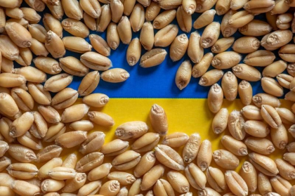 Republica Moldova ar putea restrictiona temporar importurile de cereale si seminte oleaginoase din Ucraina. Anuntul facut de ministrul Agriculturii si Industriei Alimentare