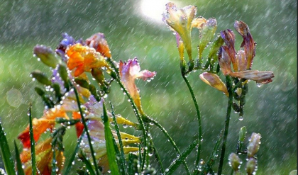 Cer noros si ploi slabe in toata tara. Cum va fi vremea astazi, dar si in urmatoarele zile. Prognoza meteo