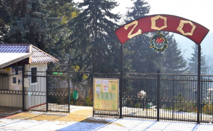 Gradina Zoologica din capitala implineste 45 de ani de la fondare. Persoanele care poarta nume de animale, precum Ursu, Lup, au acces gratuit - FOTO Gradina Zoologica din capitala implineste 45 de ani de la fondare. Persoanele care poarta nume de animale, precum Ursu, Lup, au acces gratuit - FOTO