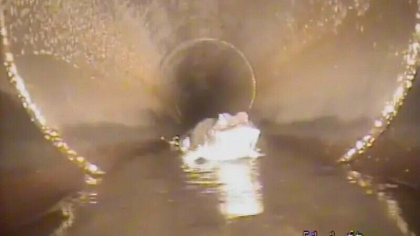 Creatura terifianta descoperita de muncitori in canalizare, cand au vrut sa verifice o conducta - VIDEO Creatura terifianta descoperita de muncitori in canalizare, cand au vrut sa verifice o conducta - VIDEO