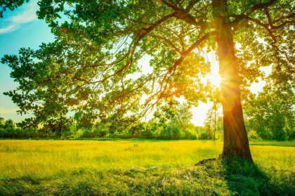 Vreme frumoasa si maxime de 22 grade Celsius. Ce temperaturi se vor inregistra astazi, dar si in urmatoarele zile. Prognoza meteo