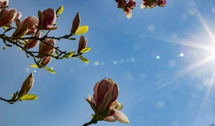 Vreme frumoasa in toata tara. Temperaturile vor ajunge pana la 24 de grade Celsius. Prognoza meteo
