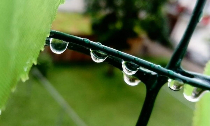 Cer noros si ploi slabe in sudul tarii. Ce temperaturi se vor inregistra astazi, dar si in urmatoarele zile. Prognoza meteo 