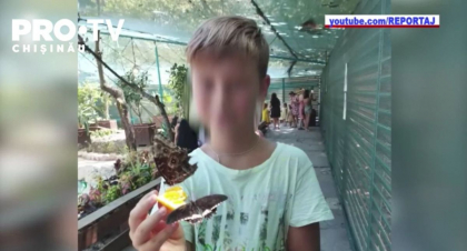 Soferul care a lovit mortal un copil de 10 ani pe trecerea de pietoni din apropierea Aeroportului - condamnat la trei ani de inchisoare. Va trebui sa achite un prejudiciu de 600 mii de lei. Procurorii vor contesta decizia
