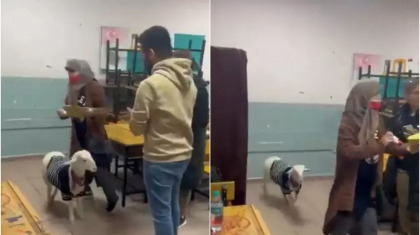 Imagini virale din Turcia: O femeie a venit cu mielul la sectia de votare - VIDEO Imagini virale din Turcia: O femeie a venit cu mielul la sectia de votare - VIDEO