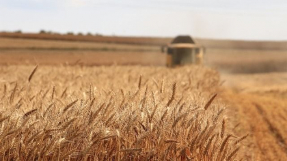 Statele vecine Ucrainei vor putea prelungi embargoul pentru cereale pana pe 15 septembrie, afirma ministrul polonez al Agriculturii, care spune ca a primit un draft de la Comisia Europeana Statele vecine Ucrainei vor putea prelungi embargoul pentru cereale pana pe 15 septembrie, afirma ministrul polonez al Agriculturii, care spune ca a primit un draft de la Comisia Europeana