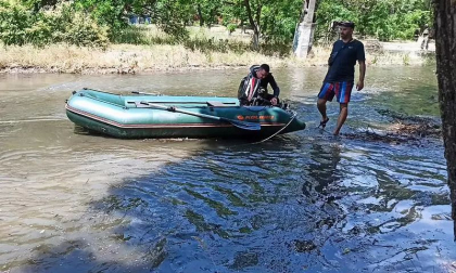 Sute de animale de la gradina zoologica din Nova Kakhovka au murit din cauza distrugerii barajului - VIDEO Sute de animale de la gradina zoologica din Nova Kakhovka au murit din cauza distrugerii barajului - VIDEO