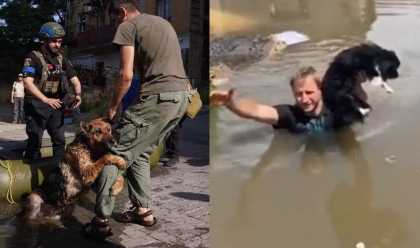 Echipe de voluntari ucraineni salveaza cainii si pisicile din ape, dupa inundatiile provocate de distrugerea barajului de langa Herson - FOTO/VIDEO Echipe de voluntari ucraineni salveaza cainii si pisicile din ape, dupa inundatiile provocate de distrugerea barajului de langa Herson - FOTO/VIDEO