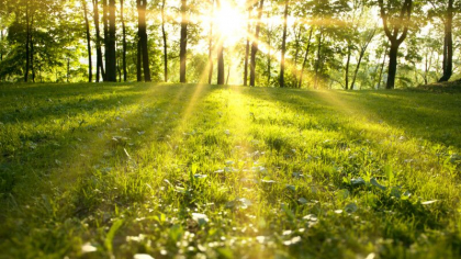 Soare si maxime de pana la 28 grade Celsius. Cum va fi vremea astazi, dar si in urmatoarele zile. Prognoza meteo