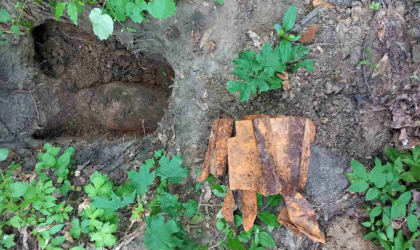 Bomba de aviatie de 100 de kilograme din timpul celui de-al Doilea Razboi Mondial - gasita de o persoana in Rezervatia Plaiul Fagului - FOTO