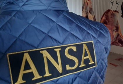 ANSA a demarat o serie de controale la mai multi colectori de carne. Recomandarile pentru cetateni - VIDEO 