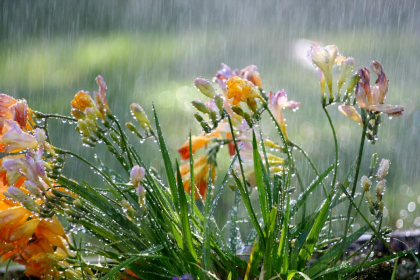 Cer variabil si ploi cu descarcari electrice in toata tara. Ce temperaturi se vor inregistra astazi, dar si in urmatoarele zile. Prognoza meteo