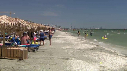 Primarul Constantei, declaratii despre pericolul holerei in Marea Neagra. Ce spune despre scaderea numarului de turisti