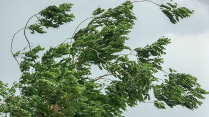 Un nou cod GALBEN de vant puternic, in centrul si sudul tarii. Anuntul facut de meteorologi cu putin timp in urma - FOTO Un nou cod GALBEN de vant puternic, in centrul si sudul tarii. Anuntul facut de meteorologi cu putin timp in urma - FOTO