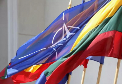 Lituania, tinta unui atac cibernatic masiv inaintea inceperii summitului NATO