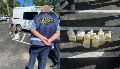 Importa si vindea ilegal medicamente de uz veterinar pe site-uri specializate din tara. Un barbat - gasit de inspectorii ANSA - FOTO