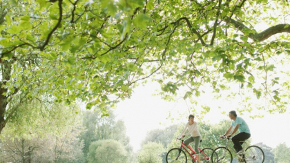 Vreme frumoasa in toata tara, cu maxime de pana la 31 de grade. Prognoza meteo pentru urmatoarele zile