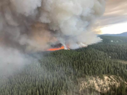 „S-au depasit si cele mai pesimiste previziuni”: Mai mult de 10 milioane de hectare in flacari in Canada „S-au depasit si cele mai pesimiste previziuni”: Mai mult de 10 milioane de hectare in flacari in Canada